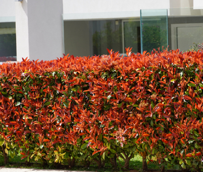 フェンス・生垣の設置