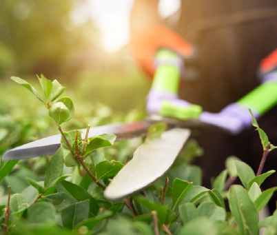 植栽・季節ごとの庭園メンテナンス